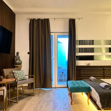 公寓 Radojkovic Concept *