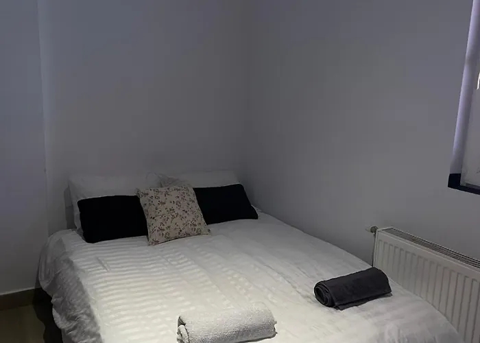 Radojkovic Concept *